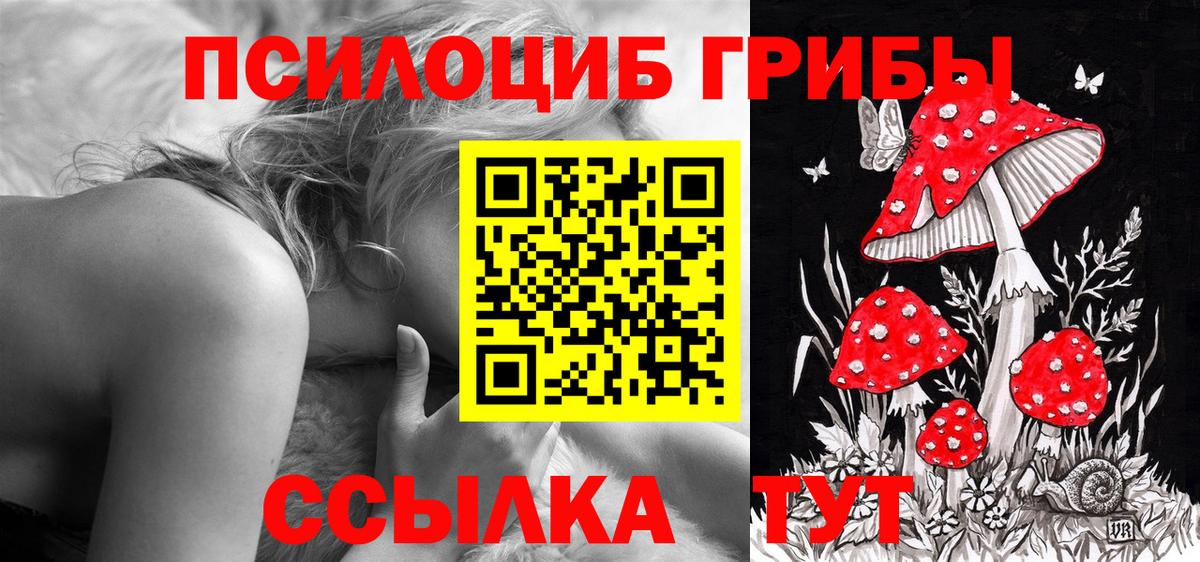 Галлюциногенные грибы мицелий Прохладный
